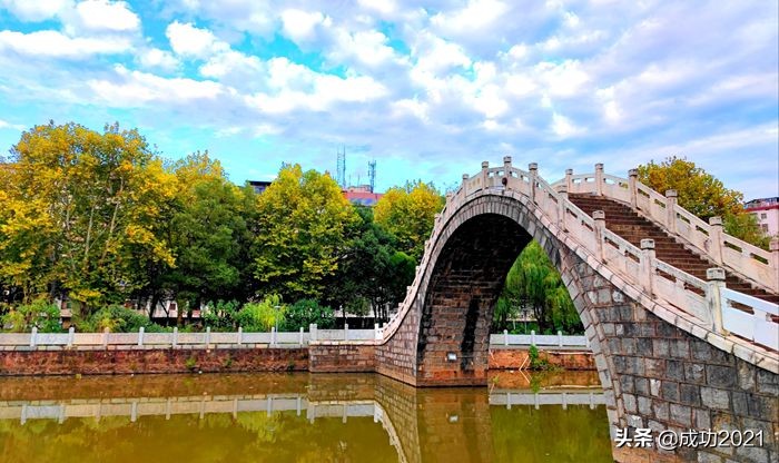 衡阳市区银杏的最佳观赏地,衡阳银杏的最佳观赏地