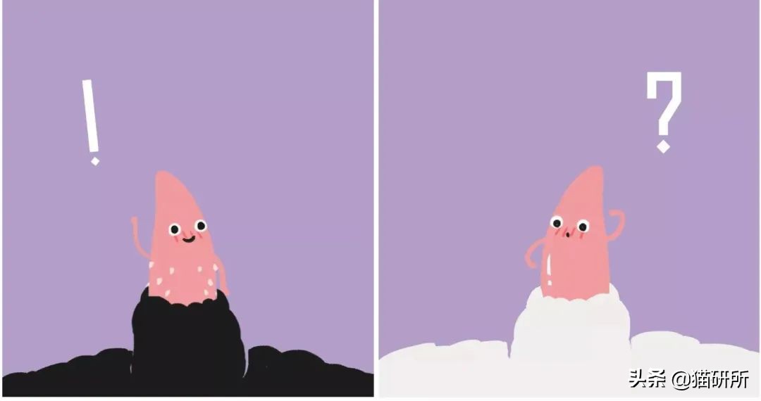 明明绝育了但是还是怀孕了的猫,明明是已经绝育的公猫