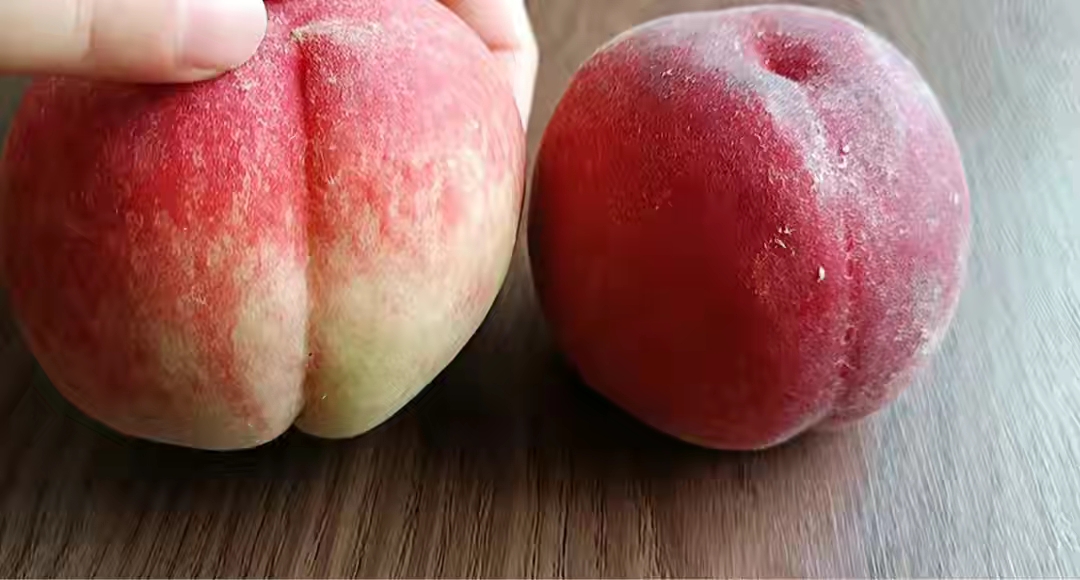 桃子甜不甜尝了才知道,桃子怎么挑才是最甜的桃