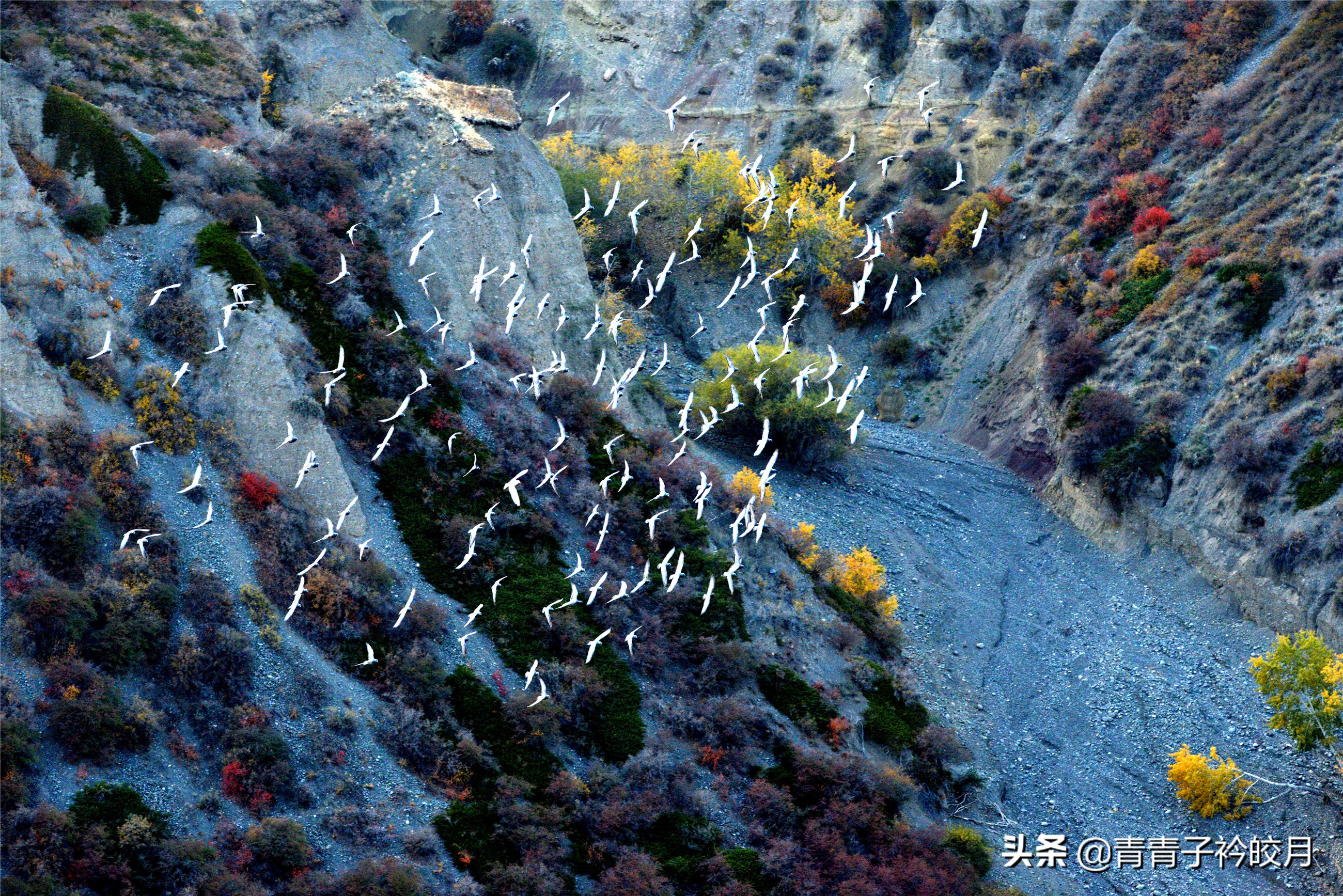 新疆的十大峡谷景点排名,新疆值得玩的大峡谷