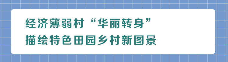 灌南县的未来发展之路,从产业地到产业高地的转变