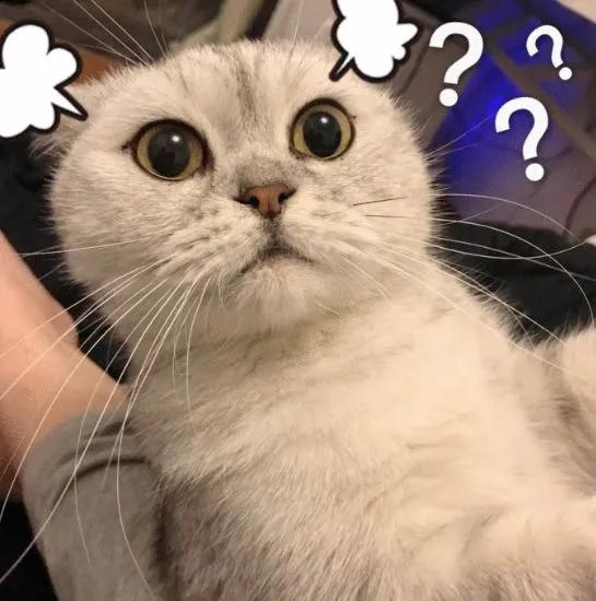 戴森2千多是正品么,戴森海外旗舰店卖的是正品吗