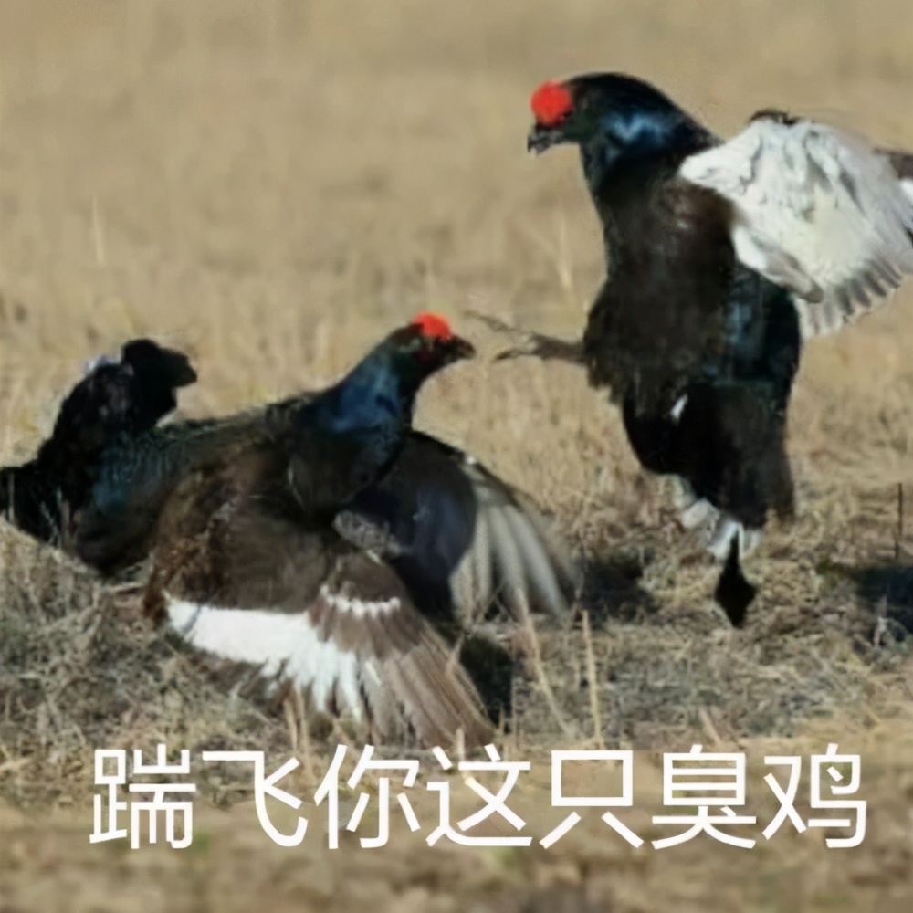 健身吃补剂恶心,味道很恶心的健身补剂