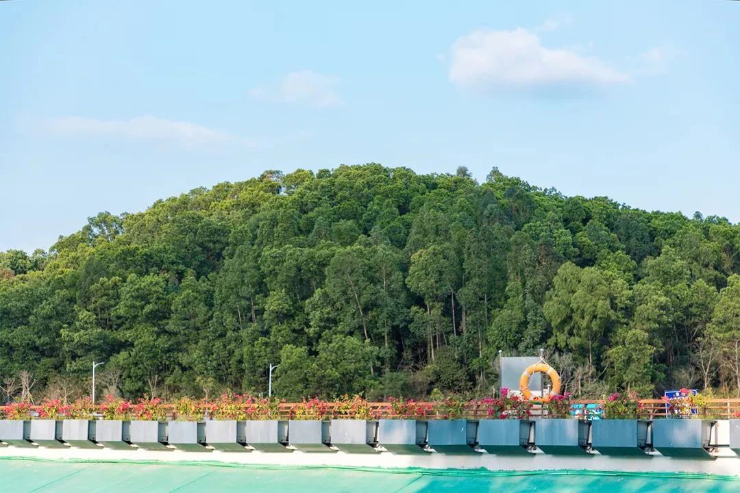 最美湖泊小众风景,最美湖泊西湖