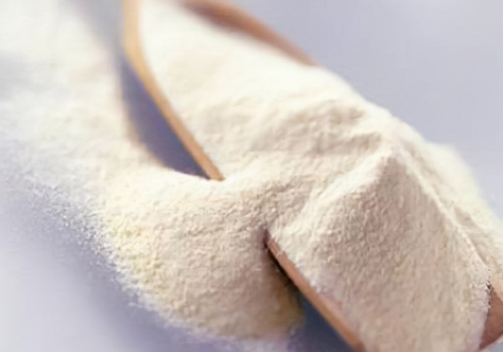 家犬吃什么,家有狗狗怎么护理