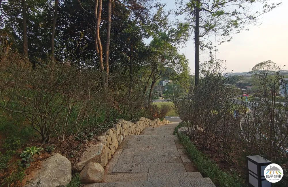 临平体育馆改扩建有篮球场吗,体育公园篮球场施工