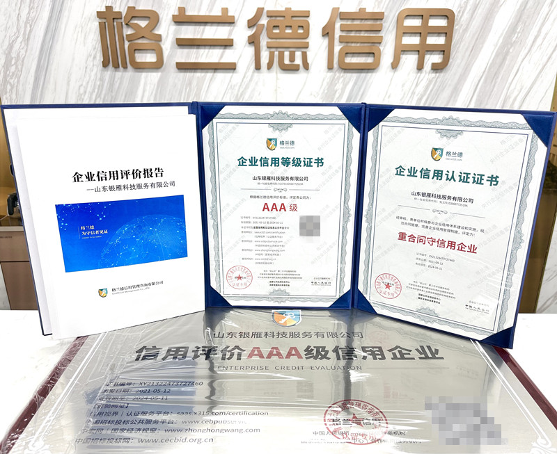 山东银雁科技服务有限公司怎么样,银雁科技山东