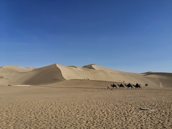 敦煌博物馆东方甄选看世界讲解,敦煌艺术馆游玩攻略