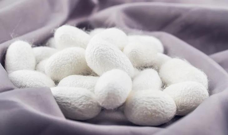 劳斯莱斯保暖上衣,劳斯莱斯羽绒服