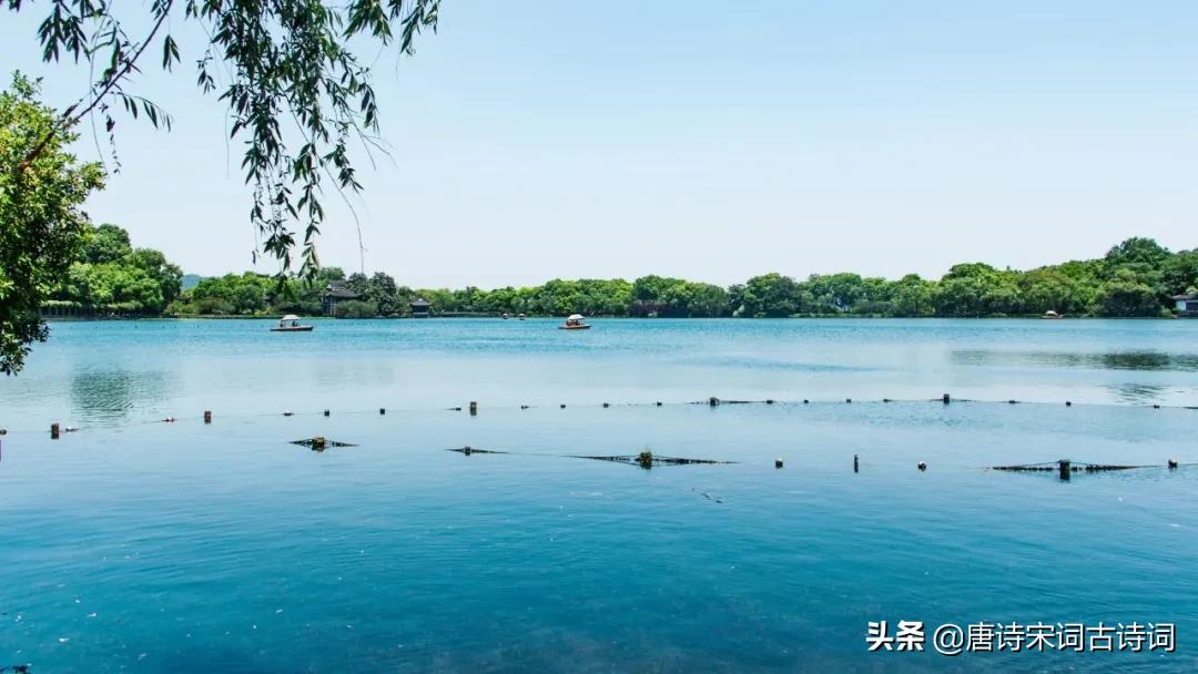 8首歌咏杏花唯美古诗词,春日游杏花吹满头陌上谁家年少