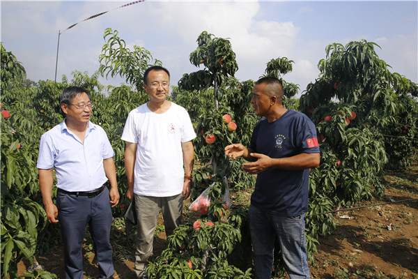 军魂颂吕永怀,军魂永在心退役老兵回乡创业