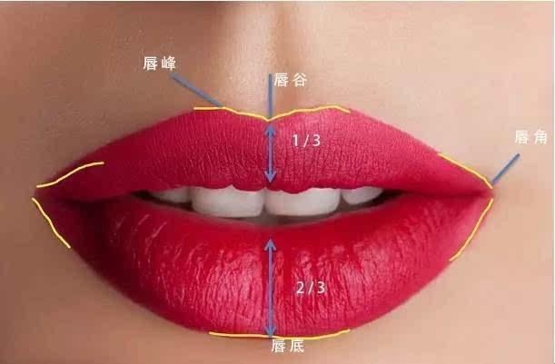 分不清肤质用什么,新手入门必学教你化妆的正确步骤