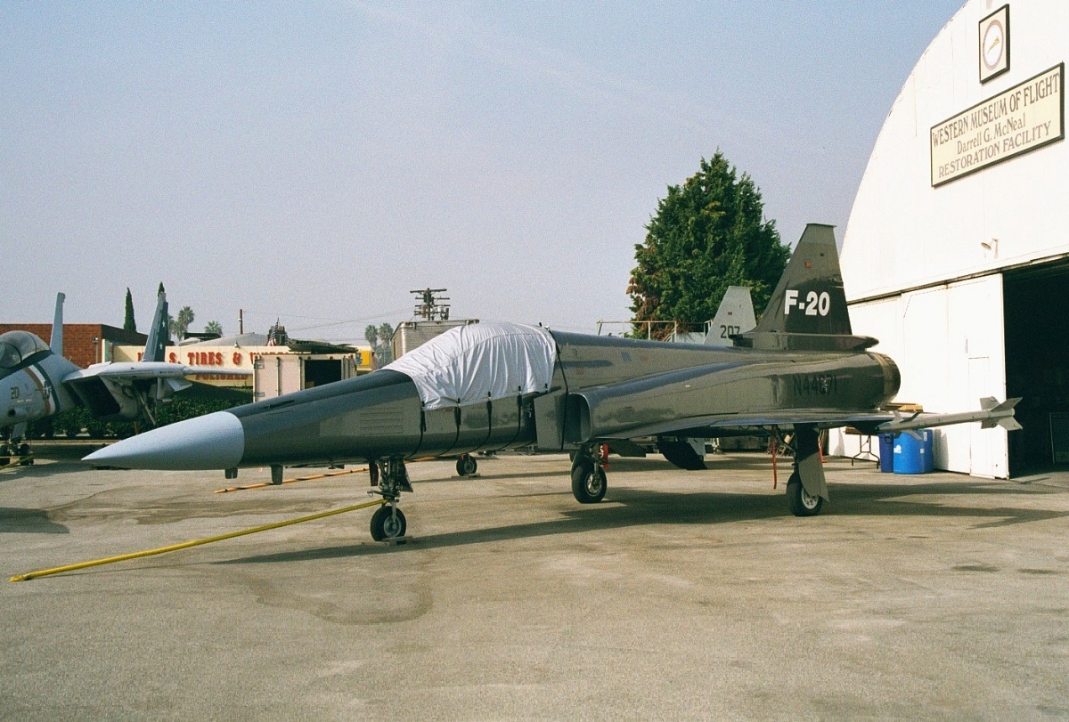 虎鲨悲剧,极富悲剧色彩的虎鲸