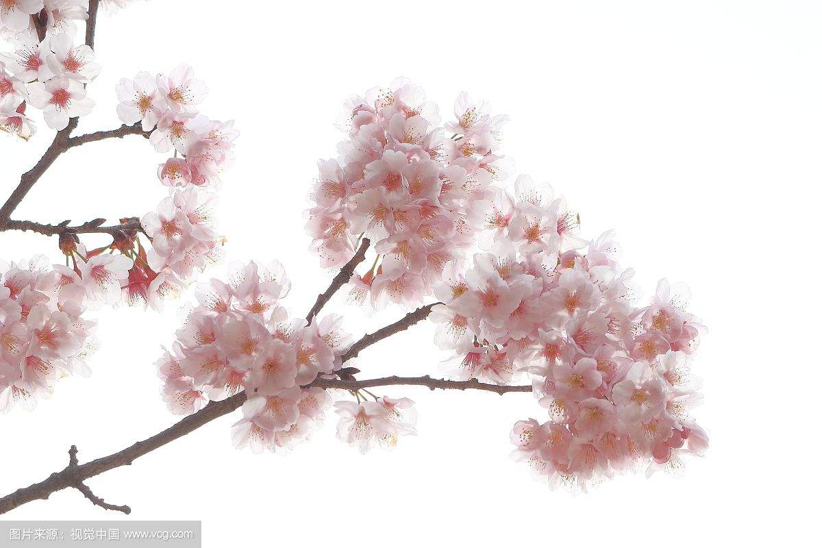 我对房地产的看法,我对房产投资的看法