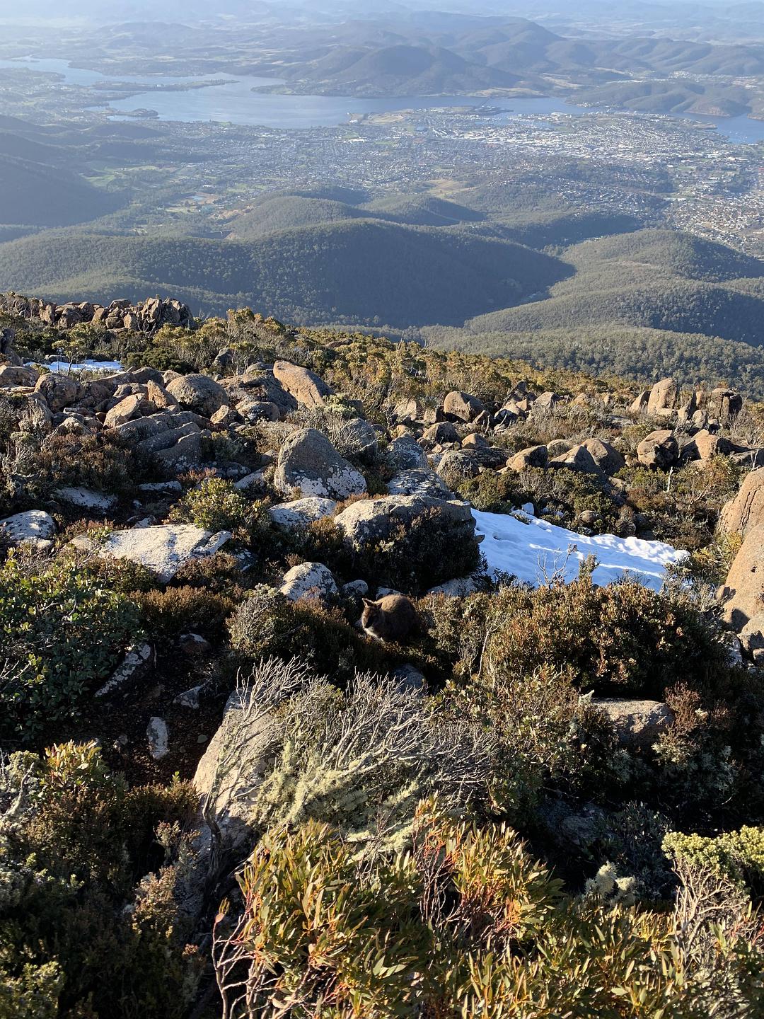 塔斯马尼亚心形小岛,降落西沙群岛