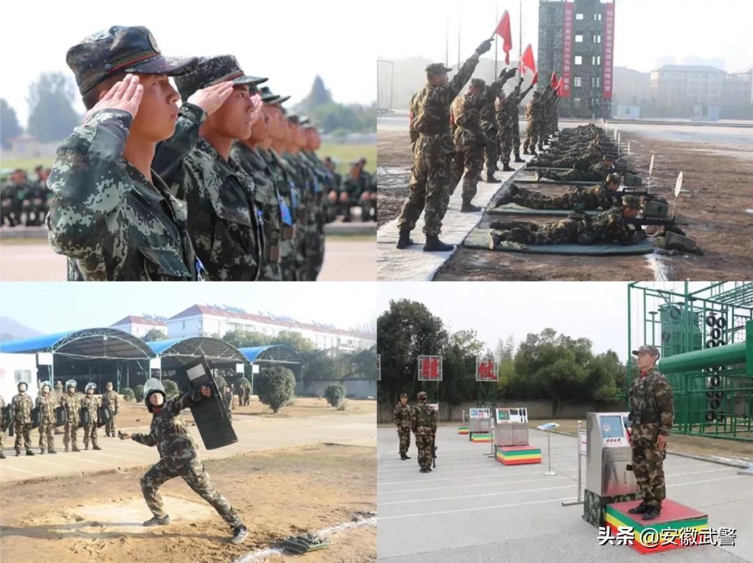 纪实视频,记实记录