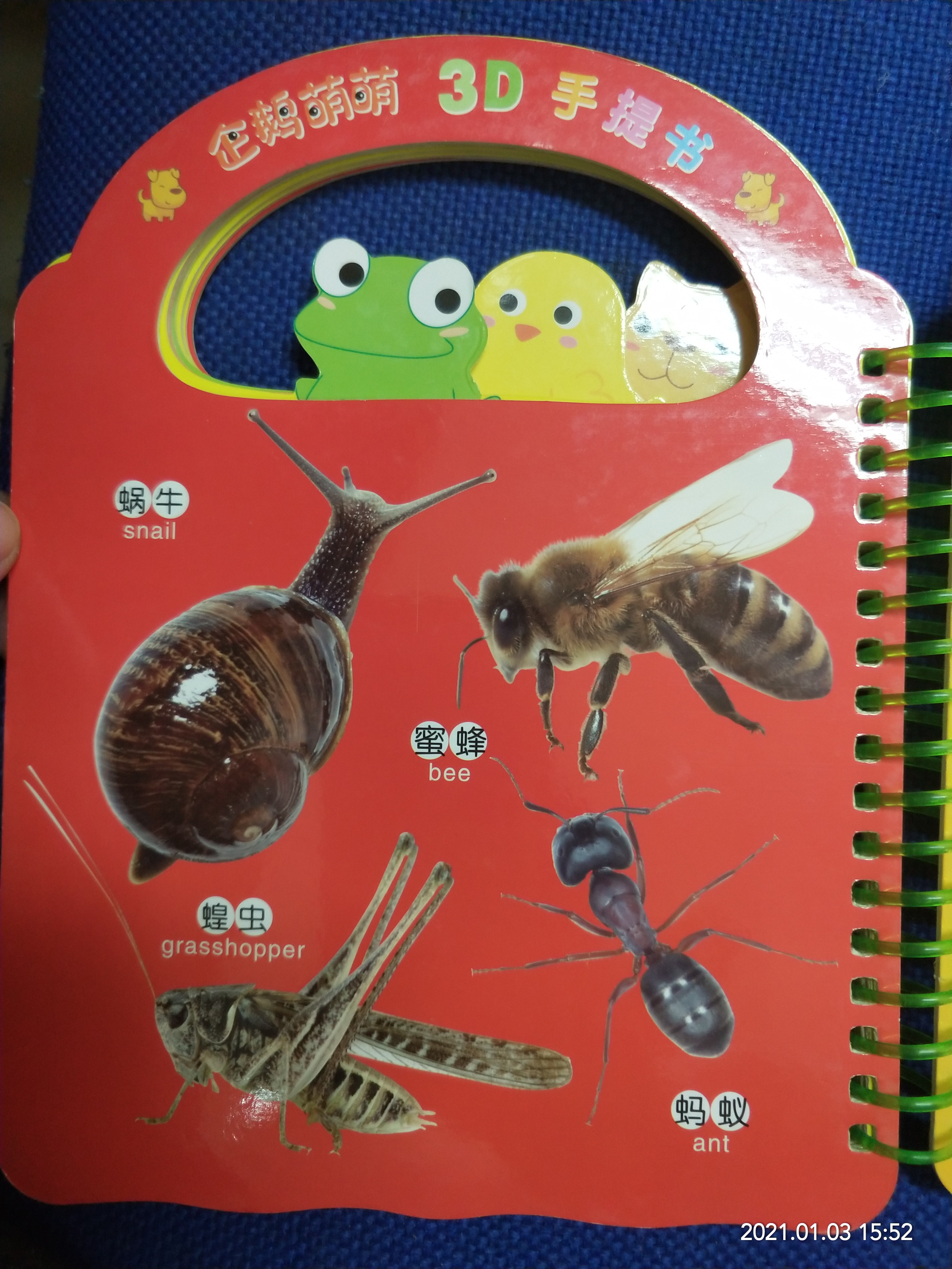 关于动物的绘本双语版,最会逃生的动物绘本