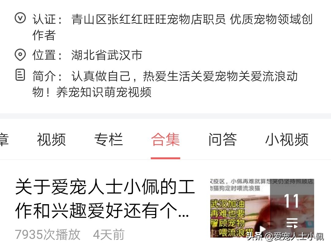 爱宠人士小佩是怎么回事,小佩宠物领养是不是真的