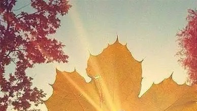 一觉醒来竹马变男友讲了什么,一觉醒来竹马变男友小说