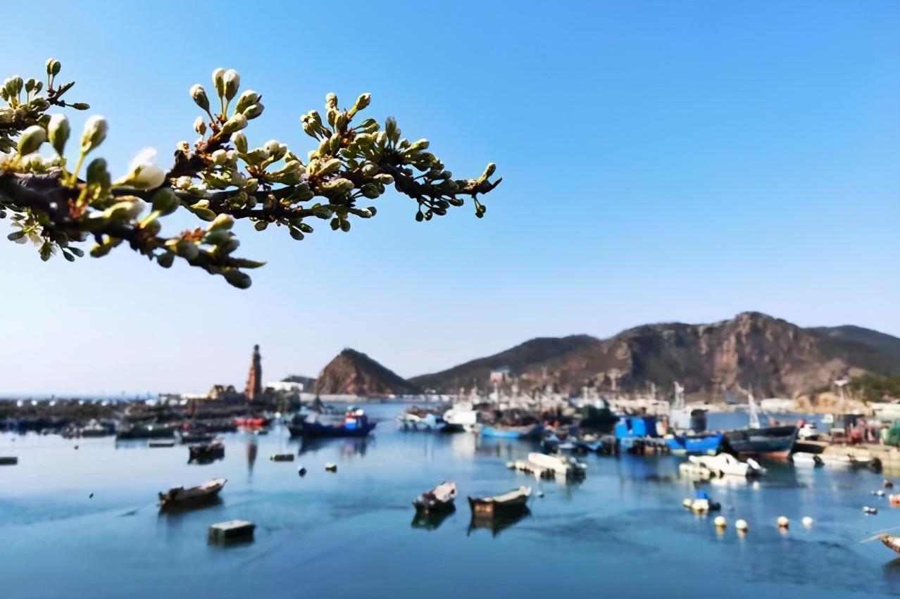 大连有海的城市确实比较浪漫一点,向往的海滨城市大连浪漫之旅