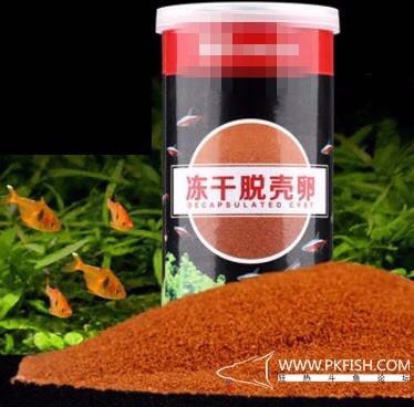 中国斗鱼繁殖直播教程视频,繁殖中国斗鱼要多大的鱼缸