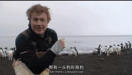 BBC最棒8部纪录片，强烈推荐孩子暑假看