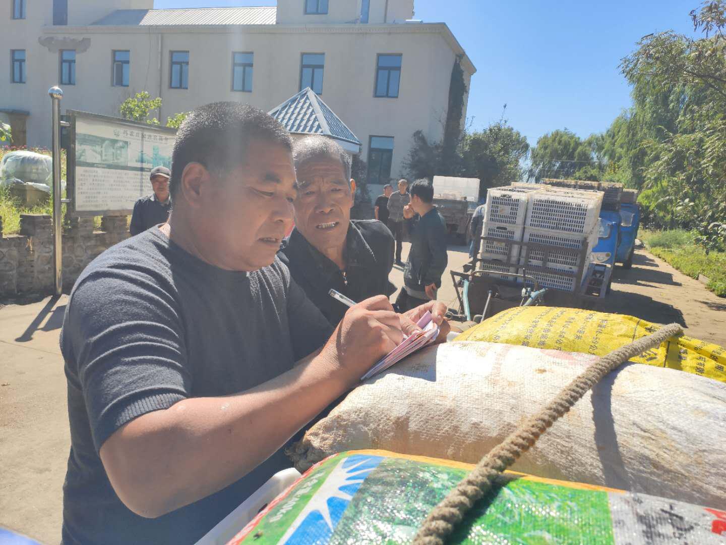 几千亩没人要的“小黑果”，这家葡萄酒厂全包了