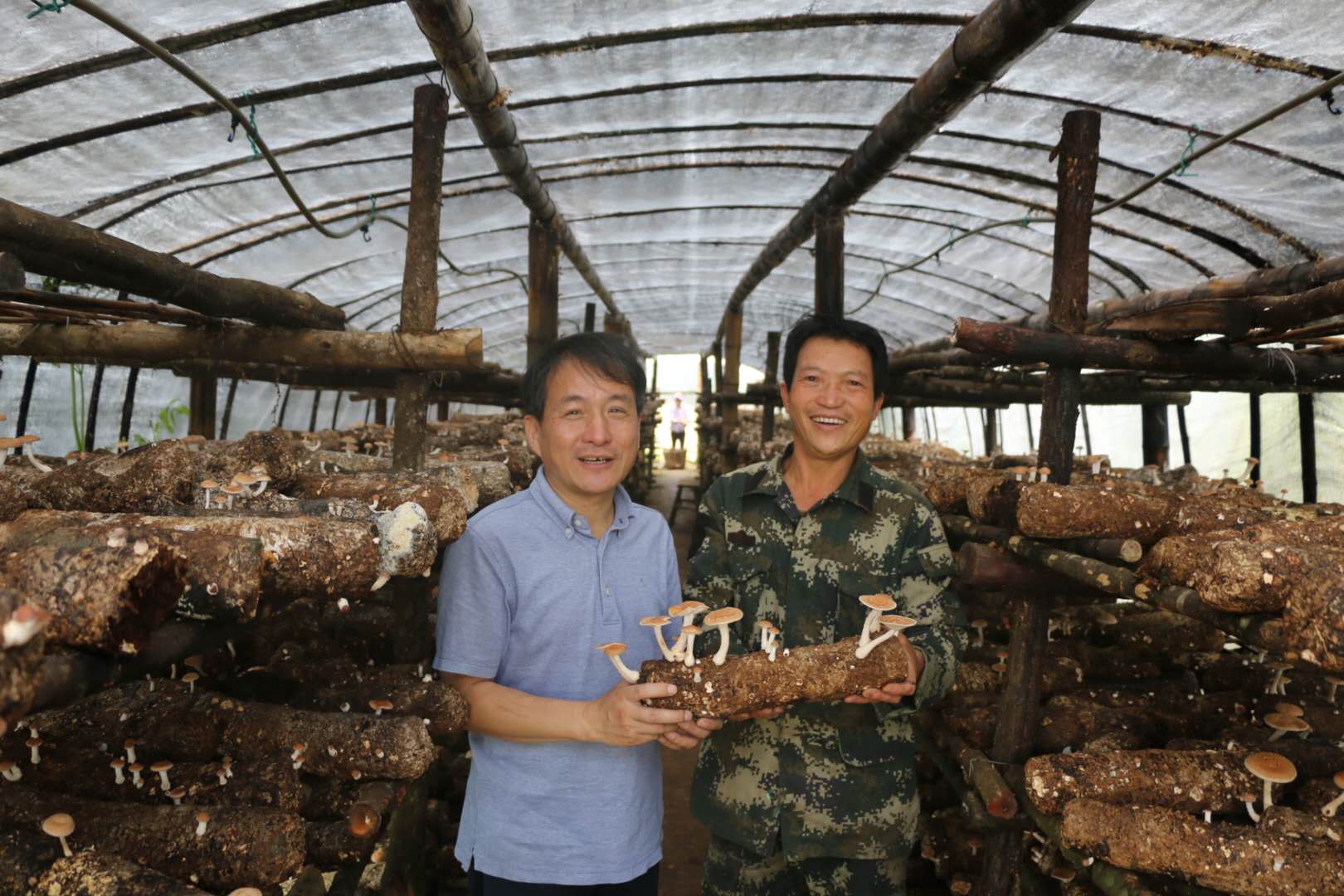 用心用情用力浙江代表热议,用心用力用情