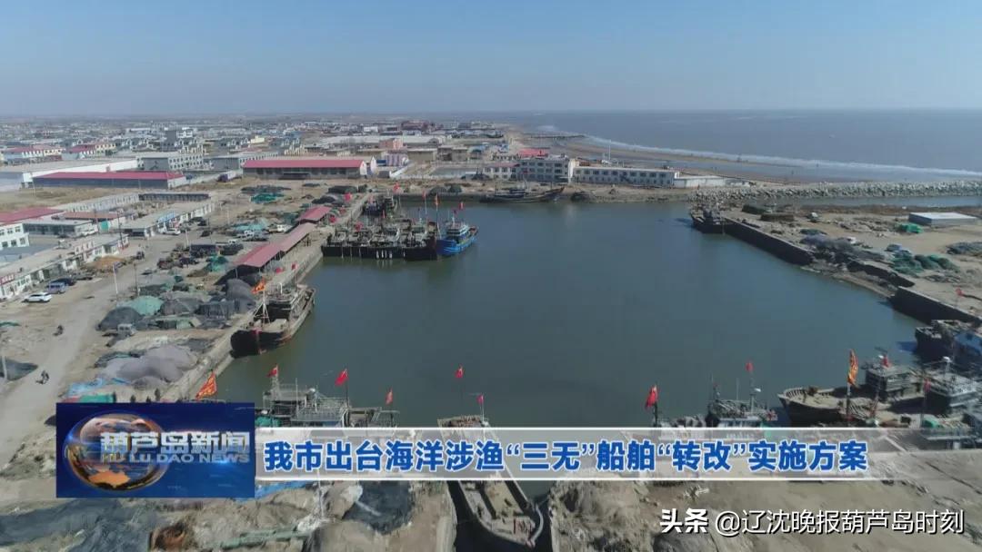 葫芦岛要闻快报,葫芦岛市今日快讯