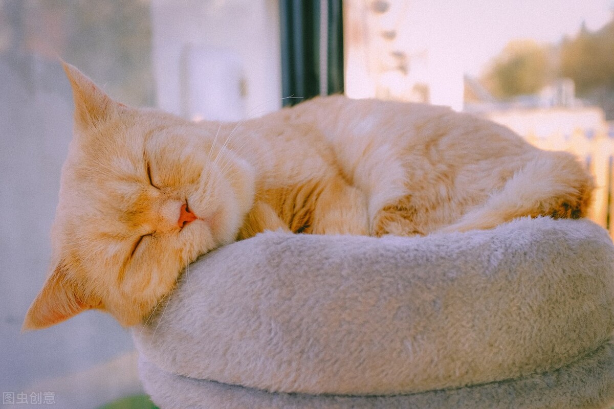 极简生活100天,极简生活第14天挑战