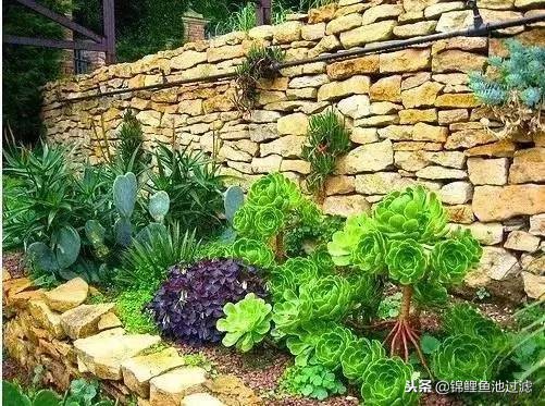 园林景观设计知识干货图,精品园林景观设计建造杂记