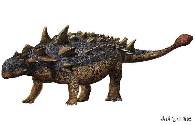 什么恐龙是恐龙世界最厉害的恐龙,恐龙世界最强大的恐龙是什么恐龙