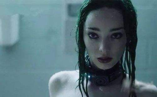 你还知道哪些值得一看的美剧,1883美剧评价