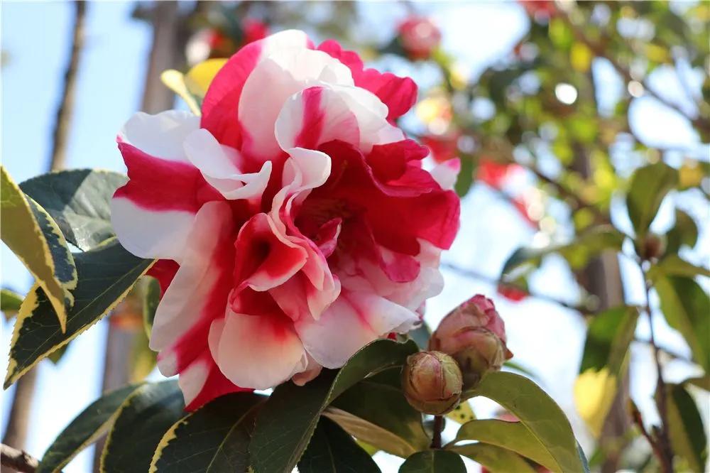 瞧!这花花世界谁不爱