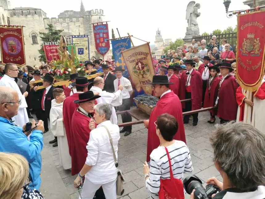 品乐Pinor：在法国葡萄园上班，就像在东北掰玉米……