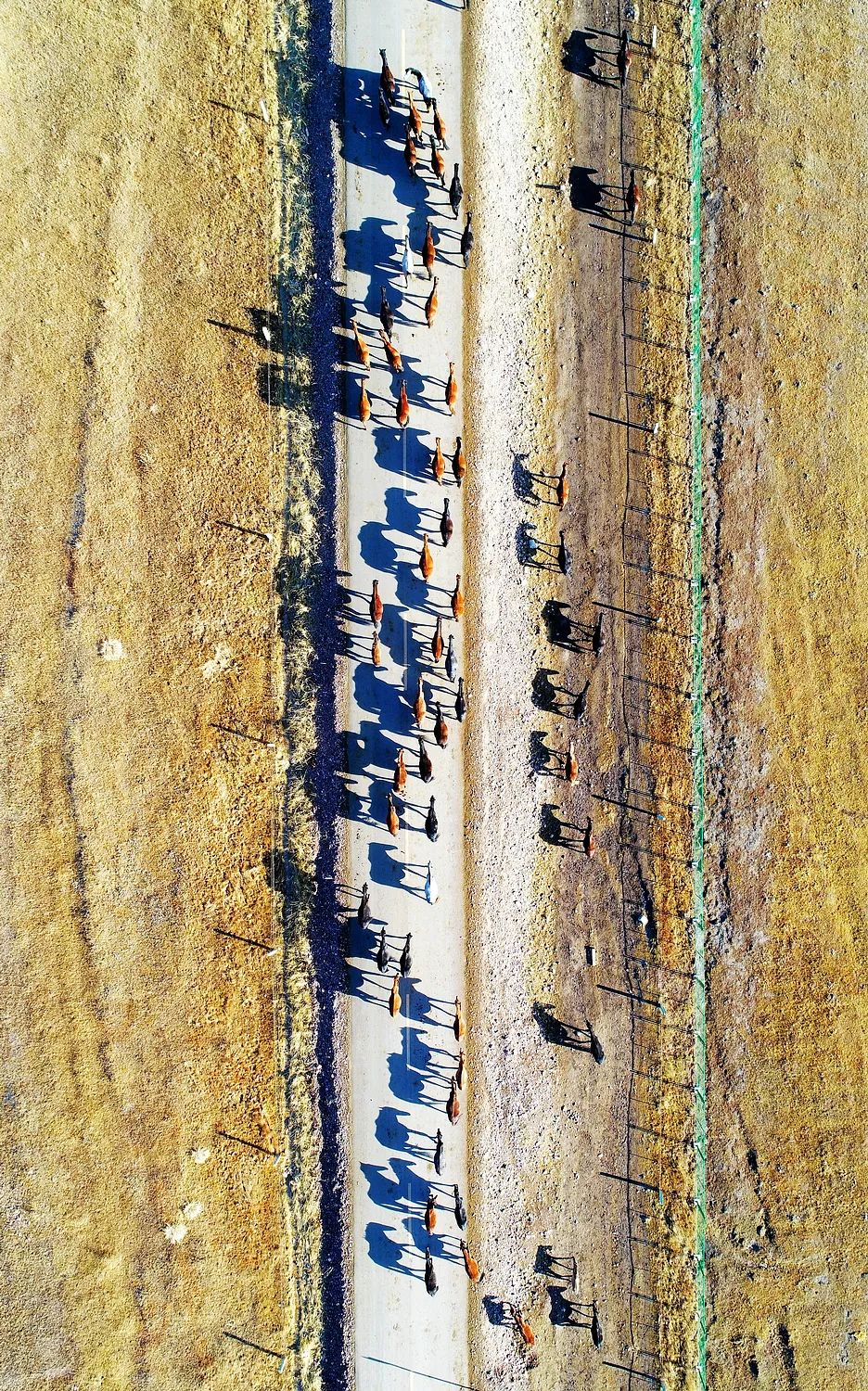 青白江不修地铁是真的吗,青白江不通地铁是地理原因吗