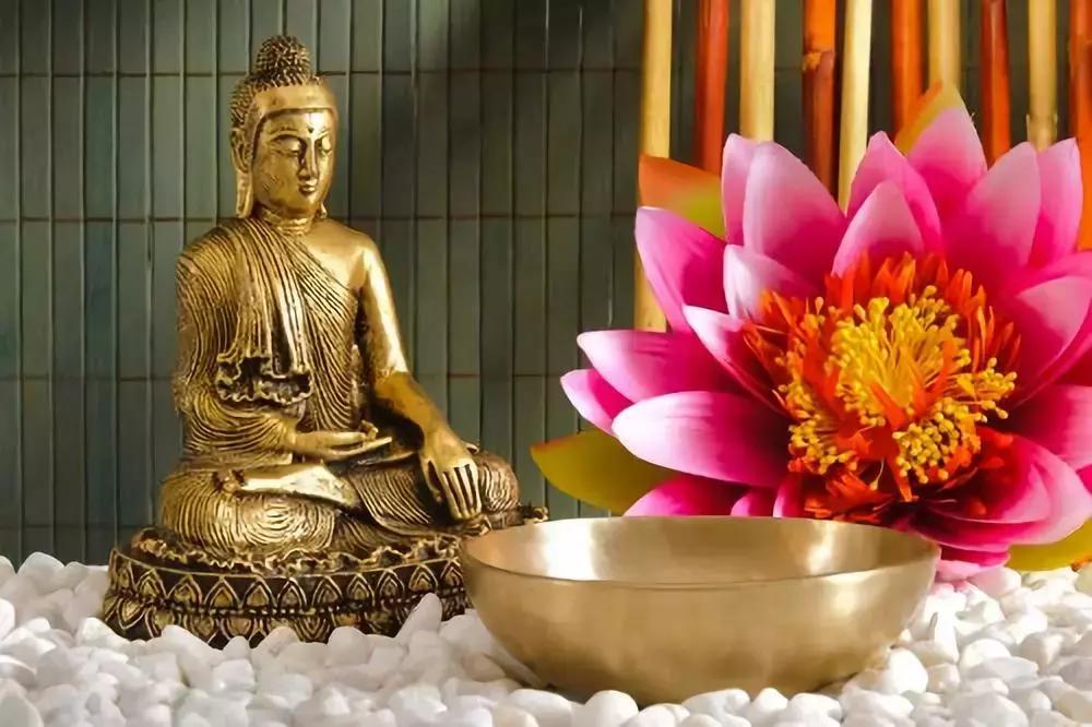 活得随性一点太较真你会输吗,人活一世没必要和事太较真