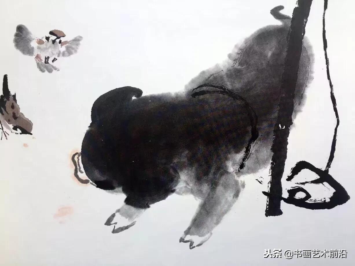 属猪的人2019年运势,属猪人2019的运程如何