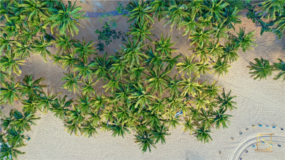 海南猴岛旅游自由行攻略,海南猴岛和呆呆岛攻略