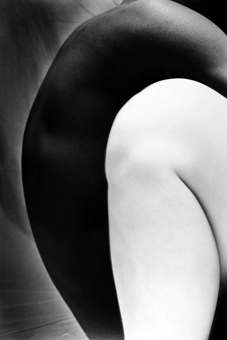 三岛由纪夫青年照,三岛由纪夫奔马图片