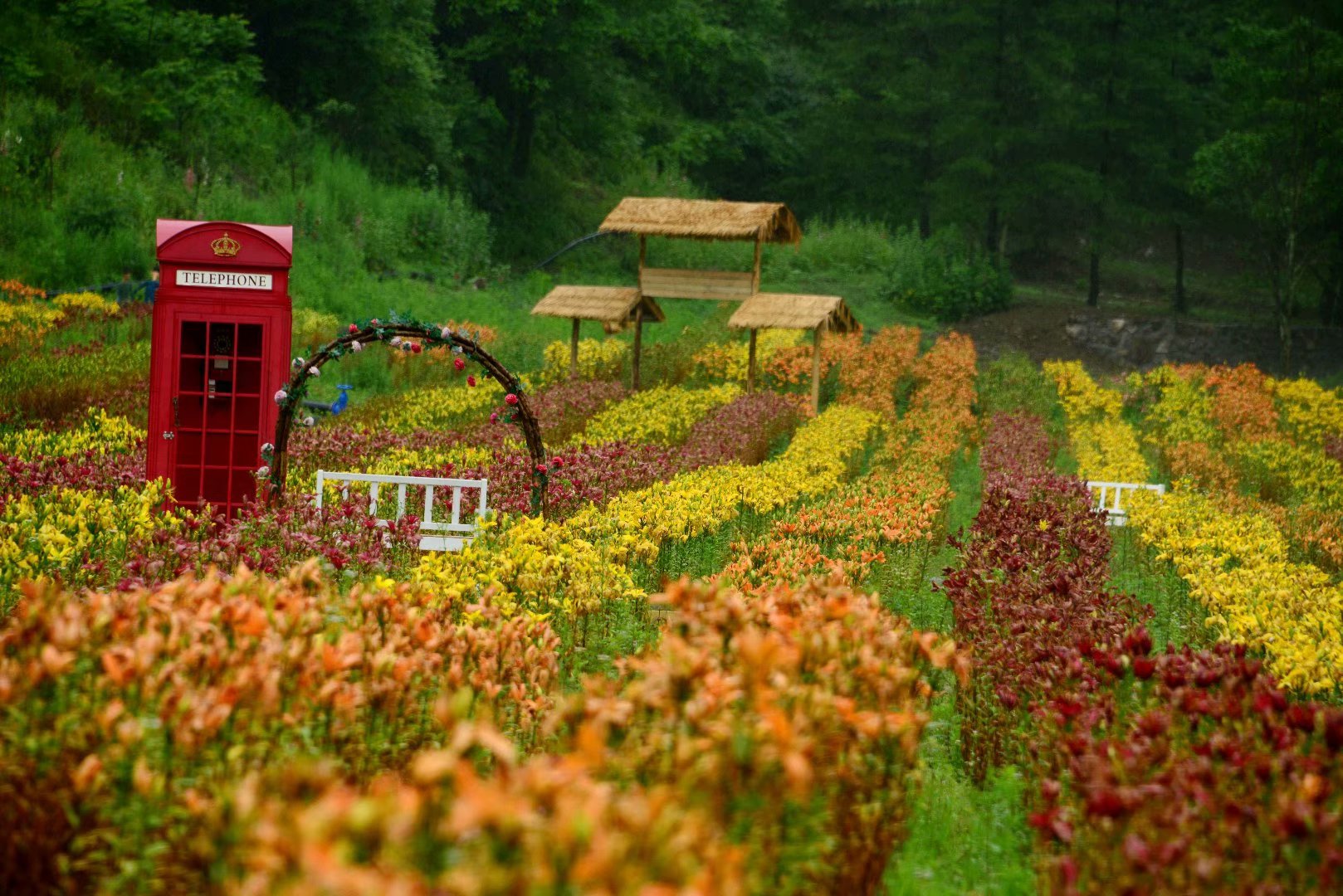 六月回忆儿时校园,六月回忆童年