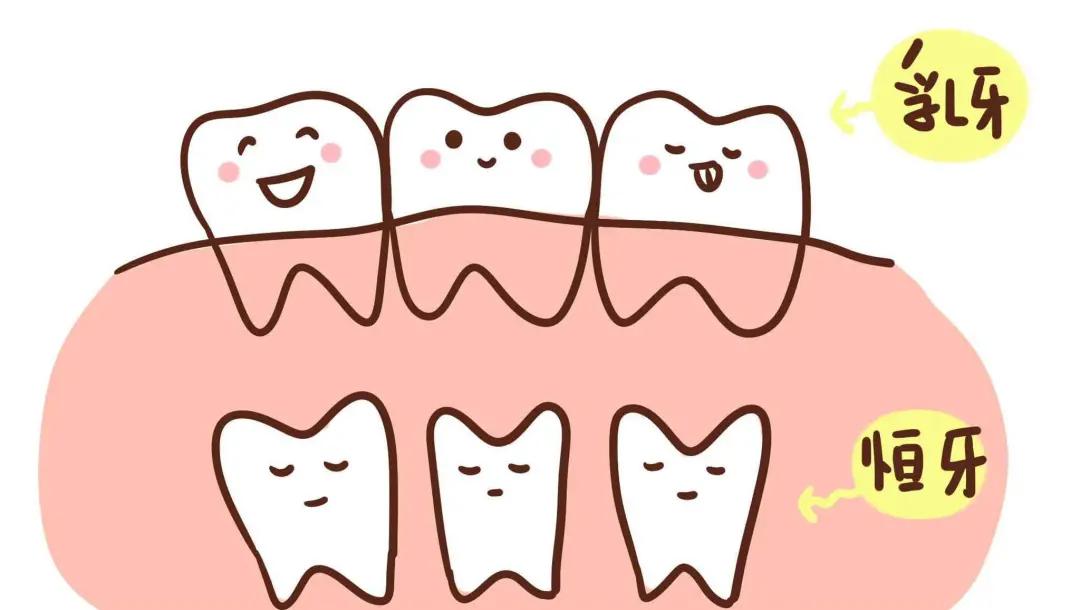 宝宝缺钙牙齿会长得慢吗,长得慢是缺钙吗