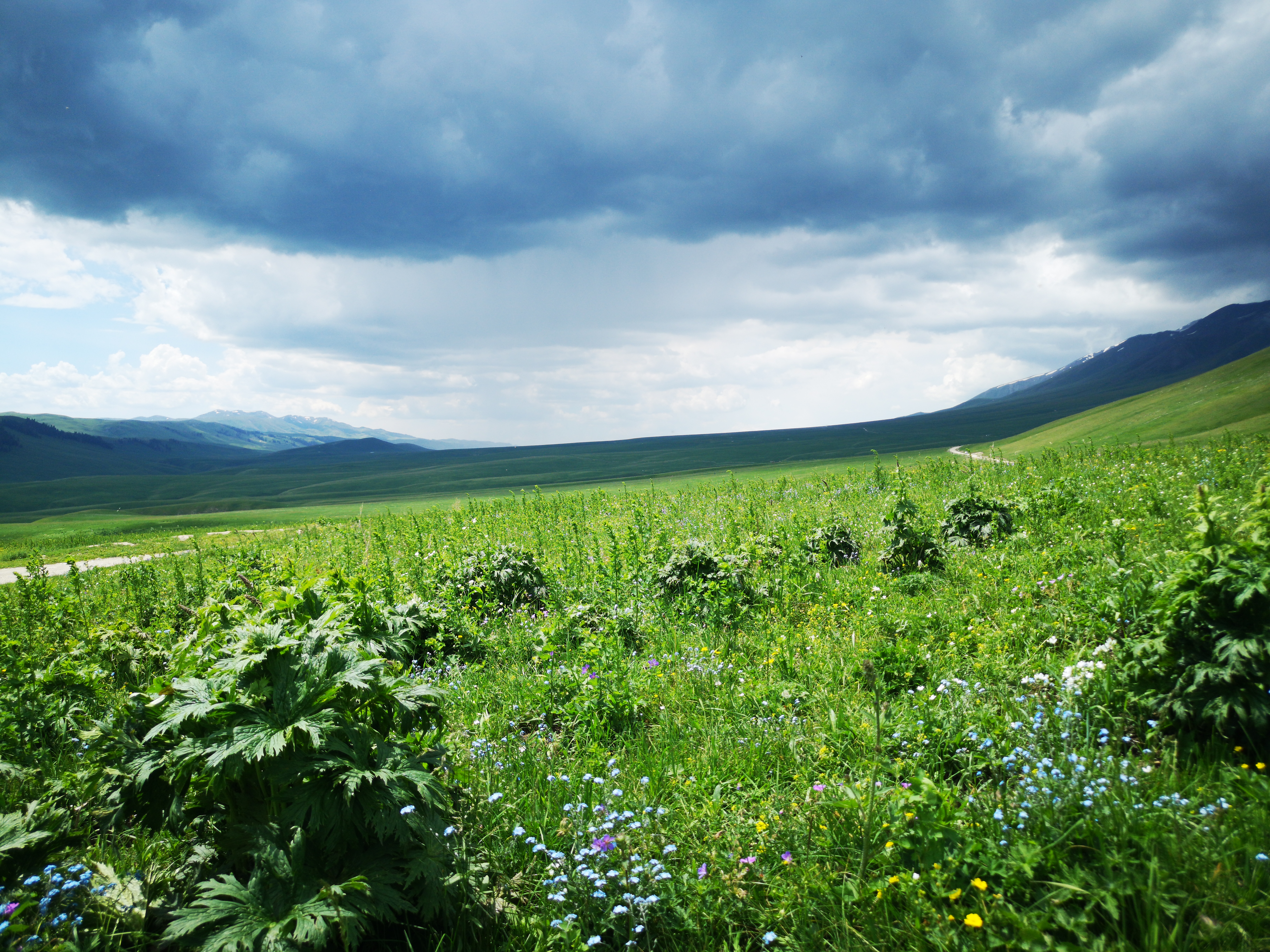 全疆最适合旅游的城市,疆内旅游哪个省好