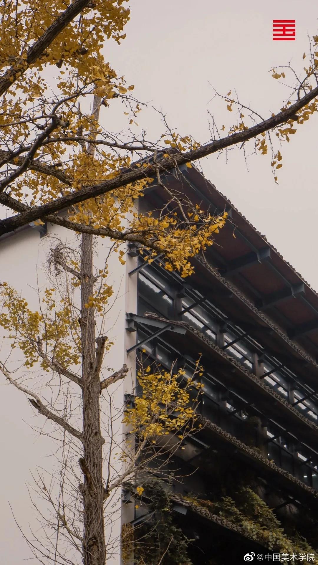 九大美院校园风景,中国九大美院校园风采