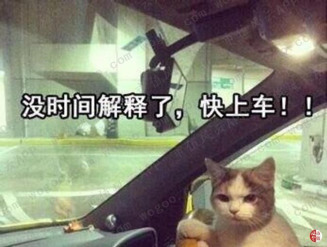 一起未遂的实控人掏空闹剧背后，是A股已经工业化的“掏空流水线”