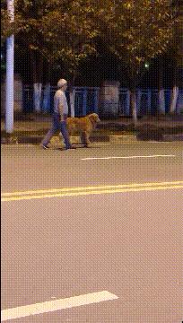 “你太低估了我的脚气，不知道还有没有救？”年轻总要付出代价