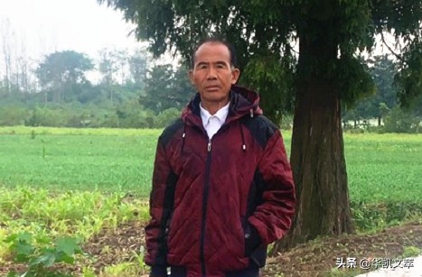 麦城关羽有什么说法,麦城中的关羽