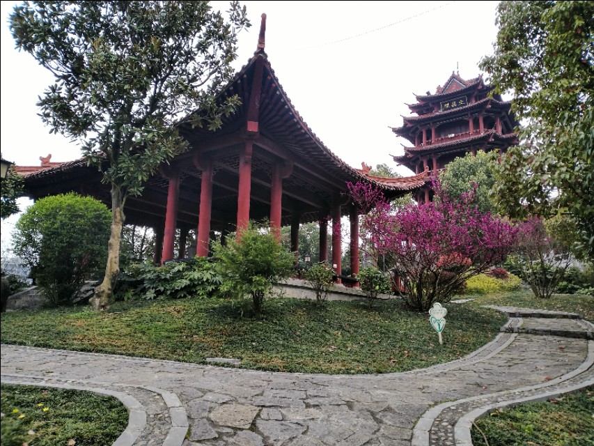 遵义三阁公园内有花吗,遵义三阁公园