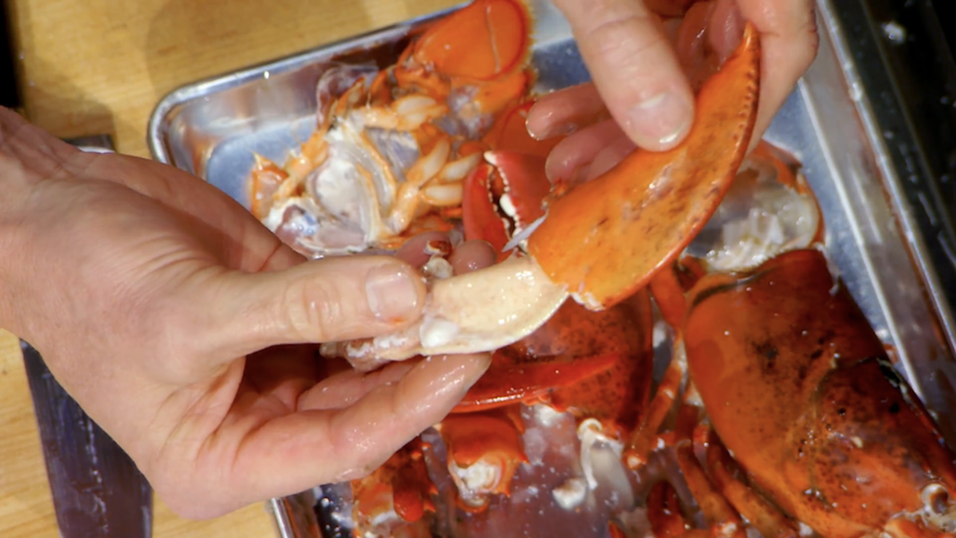 戈登拉姆齐龙虾肉,戈登拉姆齐取龙虾肉视频