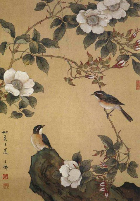 陈之佛工笔花鸟画技法解析,陈之佛花鸟画教程视频